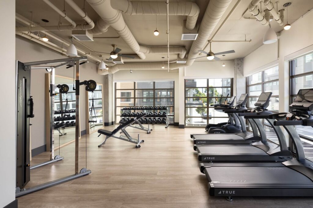 Modern gym with treadmills, weight machines, free weights, and benches. Large windows let in natural light. Light wood flooring and exposed pipes on the ceiling create a clean, open atmosphere.