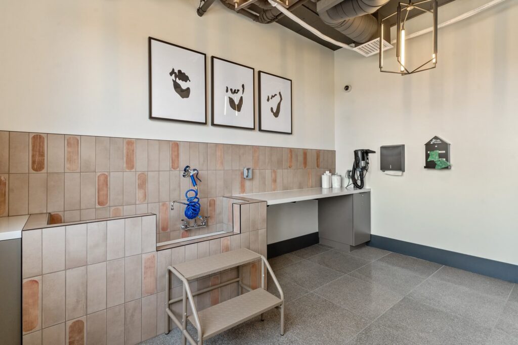 A modern pet washing station with tiled walls, a step stool, faucet with blue hose, counter space, dog washing supplies, wall art of dog faces, and exposed pipes on the ceiling.